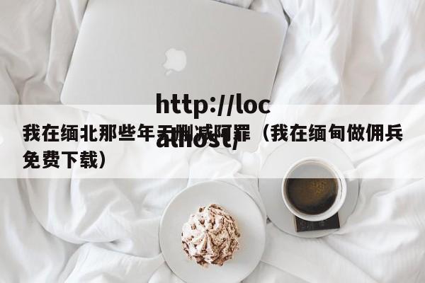 我在缅北那些年无删减阿罪（我在缅甸做佣兵免费下载）